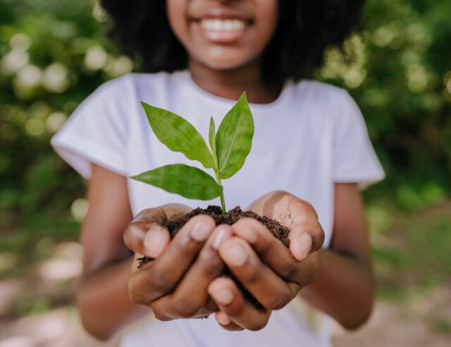 prevent global warming, girl planting a small tree