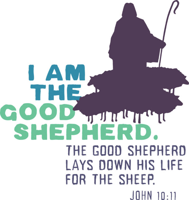 shepherd 22198c