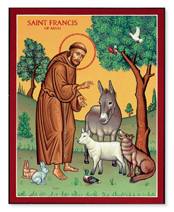 st. francis animal blessing graphic