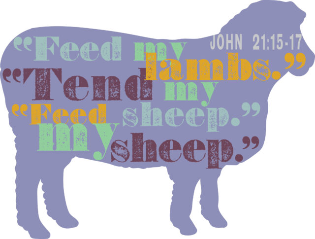 sheep 18733c