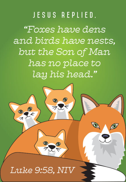 foxes 24588c