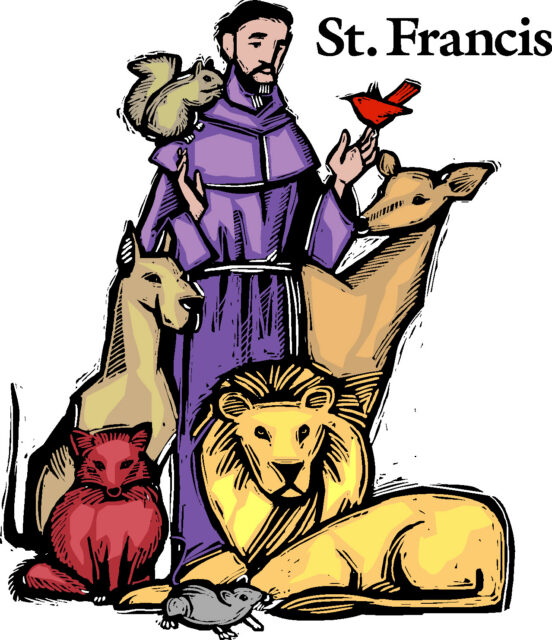 stfrancis 973c (2)